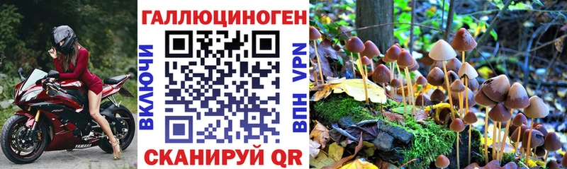 Галлюциногенные грибы Magic Shrooms  MEGA как войти  Верхняя Пышма 